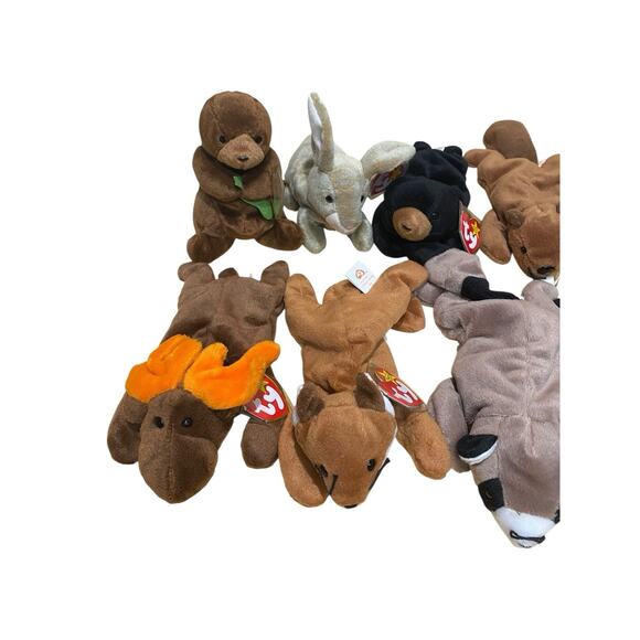 Lot Of 9 Beanie Babies Forest Themed Deer Moose Fox Skunk Bear Raccoon Beaver - Picture 6 of 6